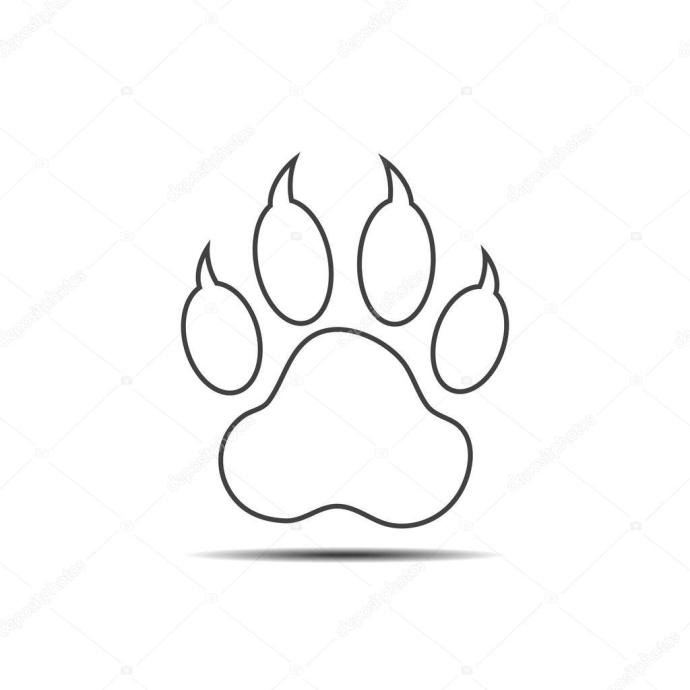 Лапа бурого медведя вектор