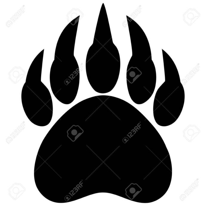 Ловец снов с лапой медведя