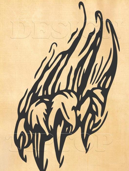 След медвежьей лапы