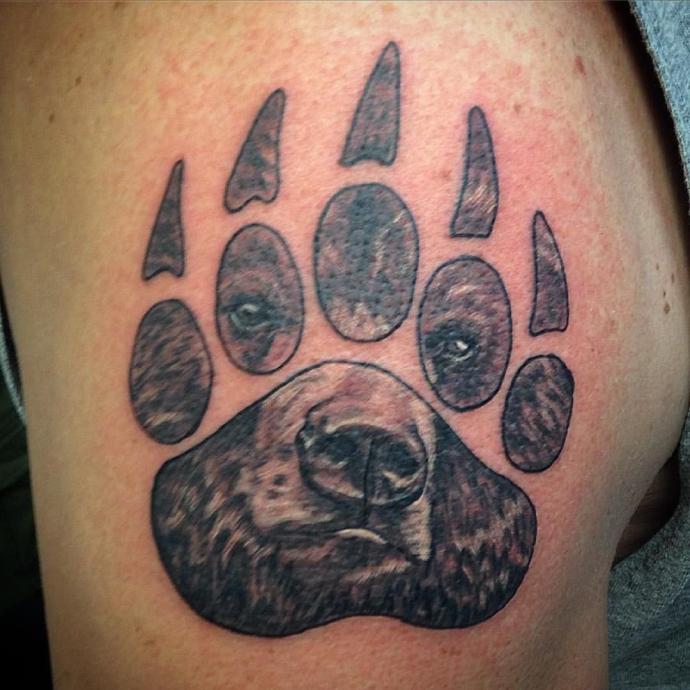 Силуэт лапы медведя