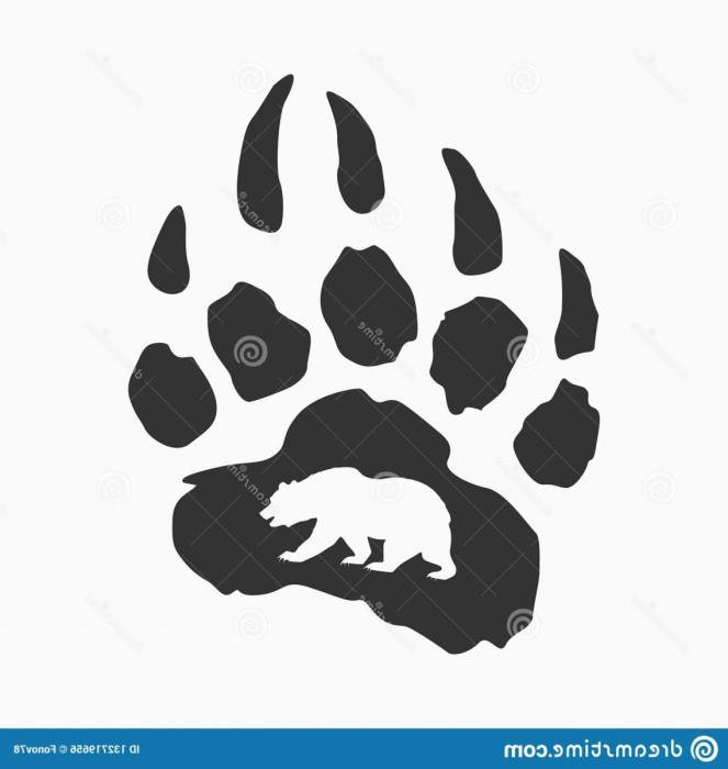 След лапы медведя