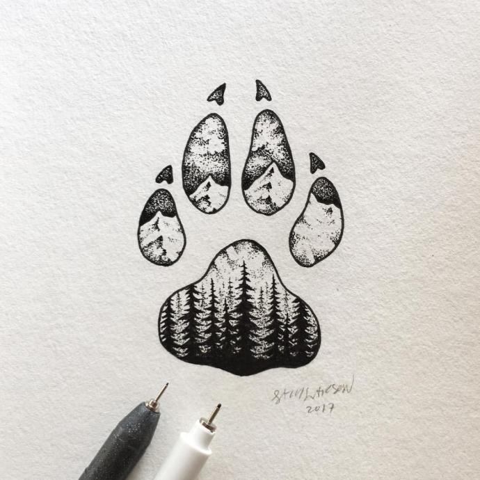 Следы медведя раскраска