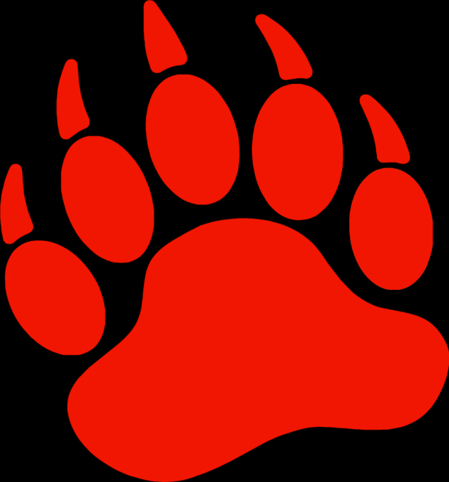 Векторное изображение лапа медведя