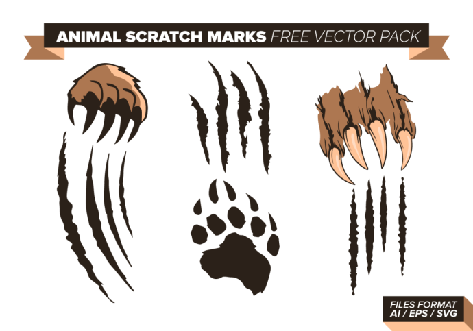 Лапы медведя