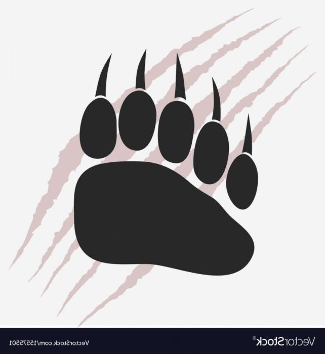 Лапа медведя эскиз73