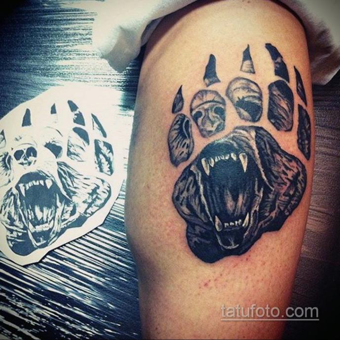 Отпечаток лапы медведя