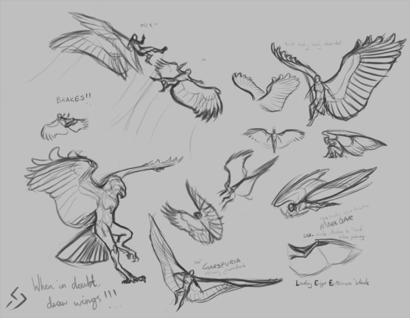 Отпечаток лапы зайца