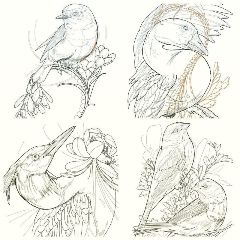 Следы животных средней полосы России