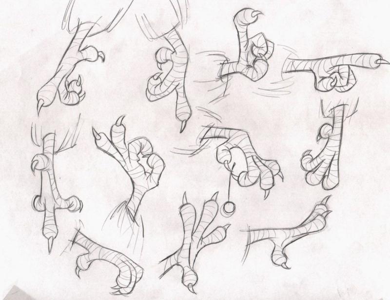 Следы птиц на белом фоне