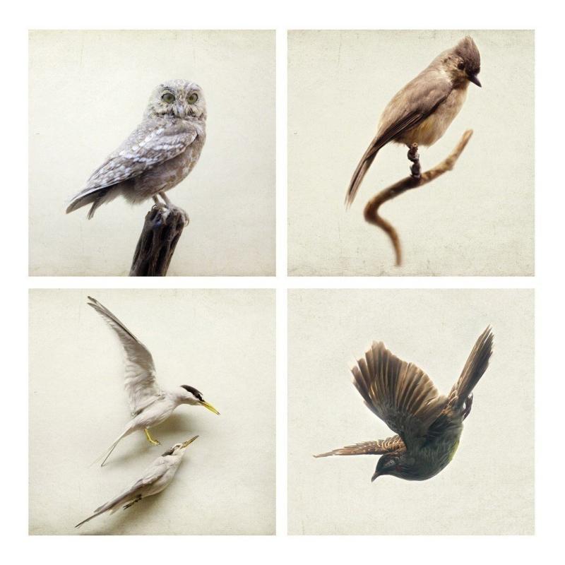 Клюв туториал