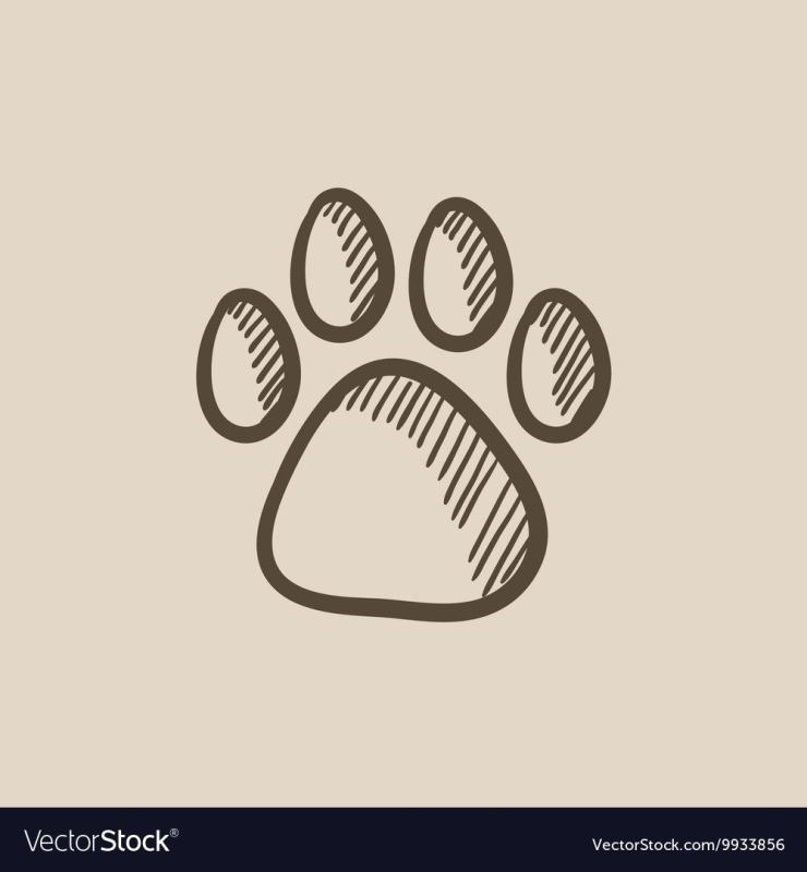 Анатомия птиц для художников