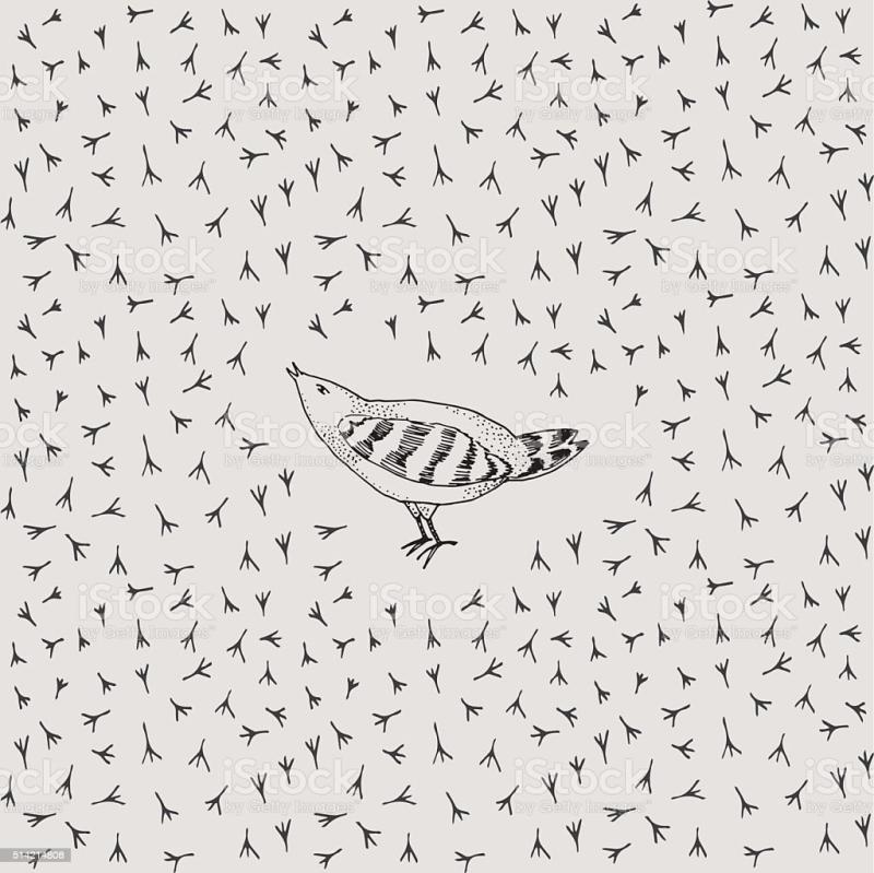 Бородач птица рисунок