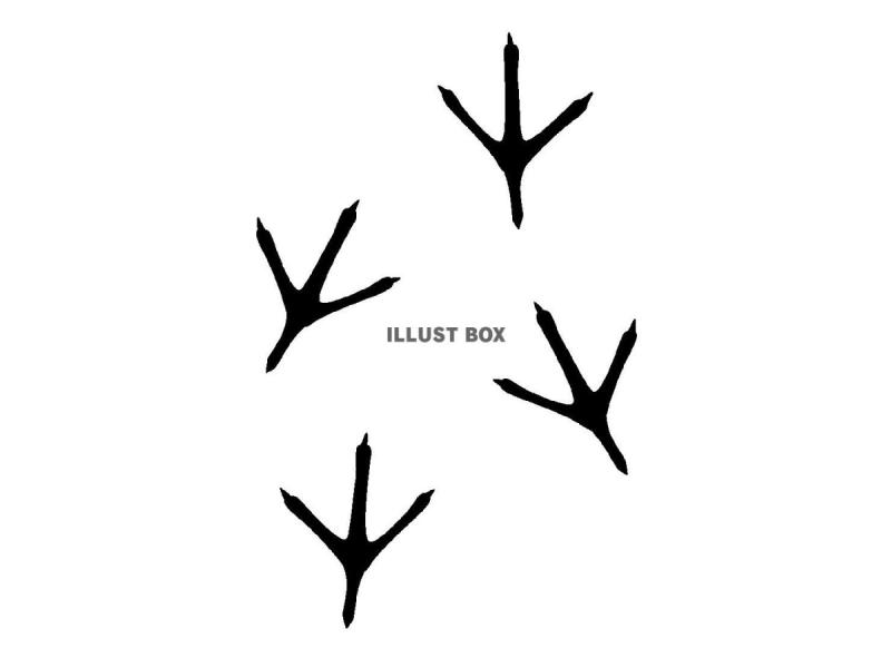 Древние коготь с рисунком черепа