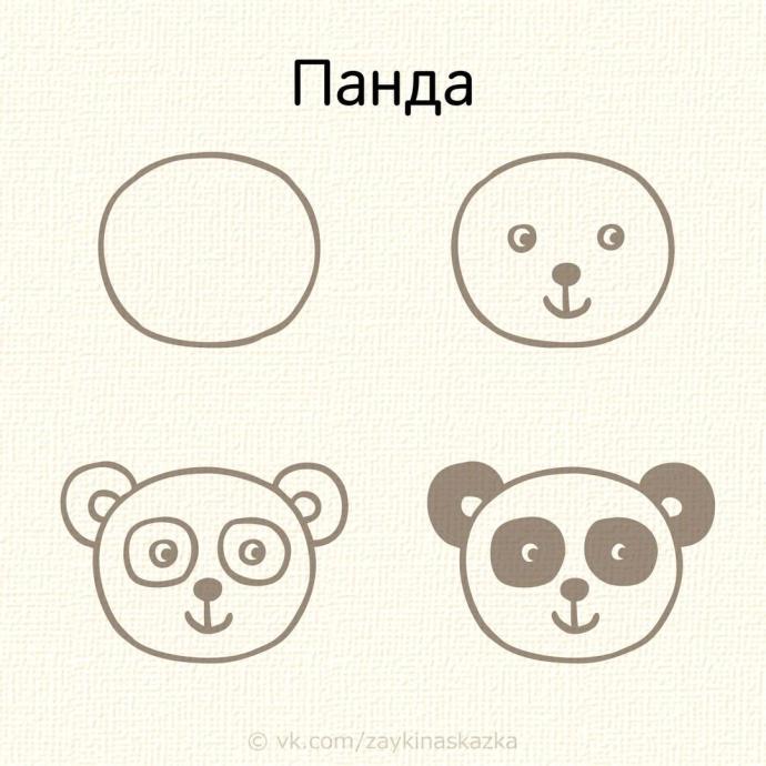 Мордочки животных рисунки легкие