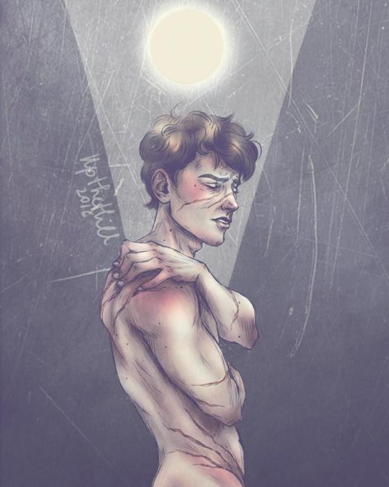 Люпин многолистный формула цветка