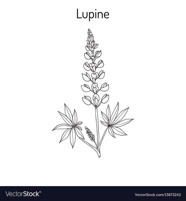 Ремус Люпин Гарри Поттер