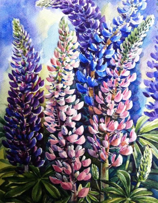 Растение Люпин стилизация