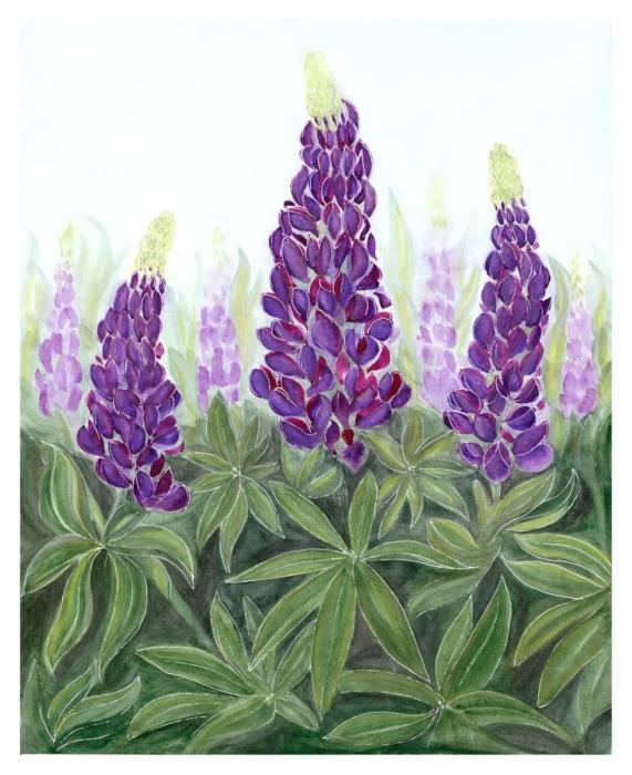 Римус Люпин в молодости арт