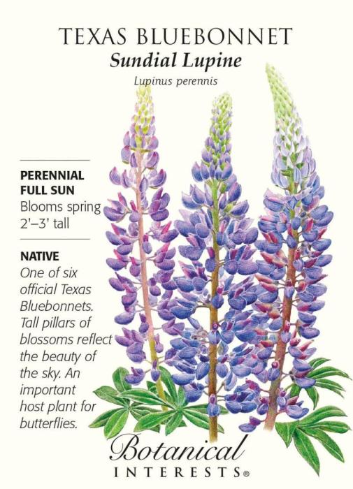 Люпин вектор