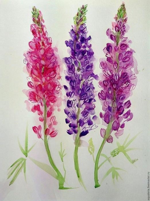 Люпин иконка