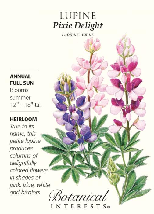 Люпины стилизация