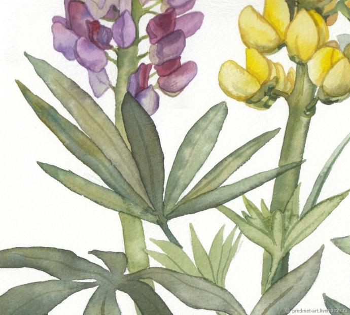 Гарри Поттер Римус Люпин оборотень