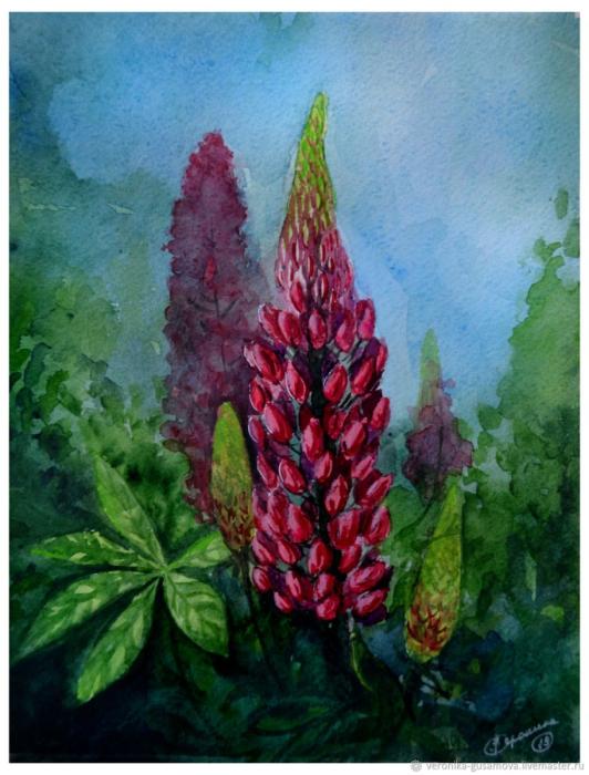 Люпин Пикси Дилайт