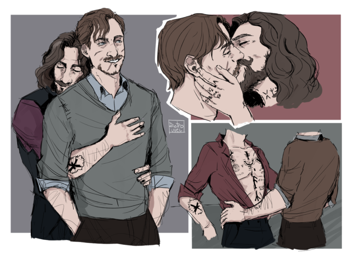 Цветок шалфея и люпина