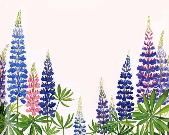 Ремус Люпин и Сириус Блэк арт