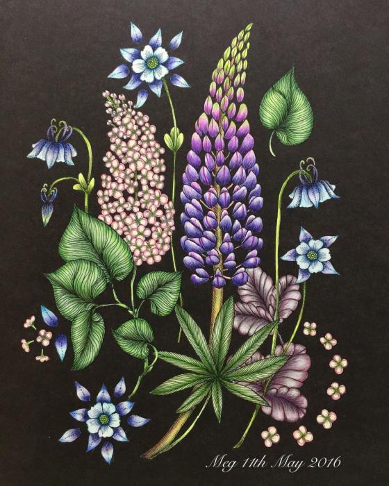 Паттерн картины люпины