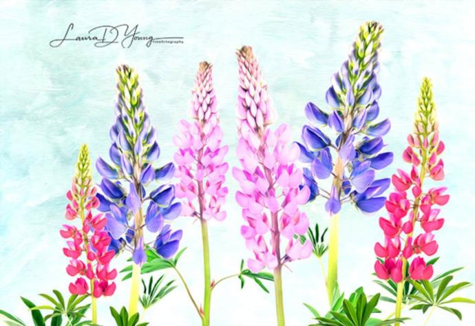 Римус Люпин арт