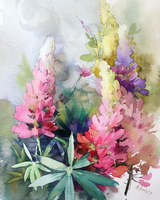 Люпин вектор