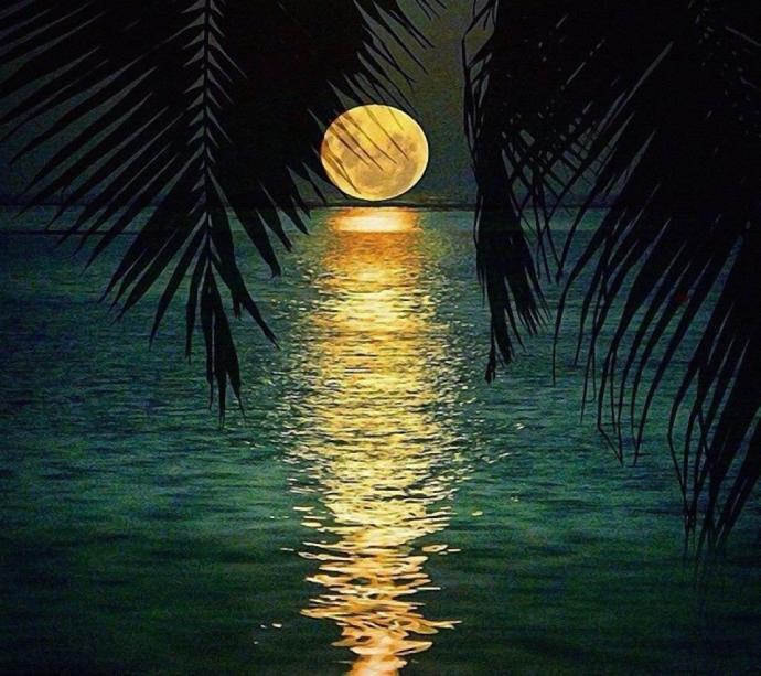 Ночная природа