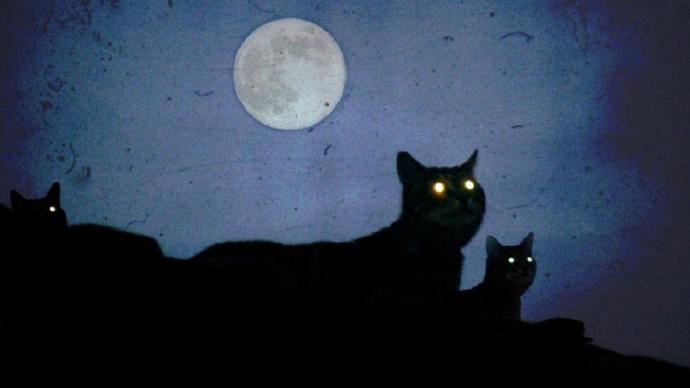 Мистическая Луна