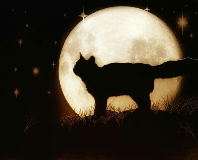 Сияние Луны