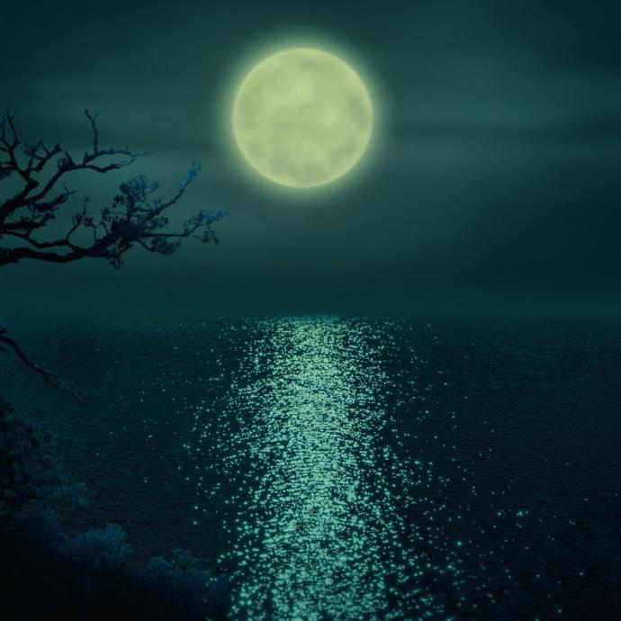 Лунный пейзаж вектор