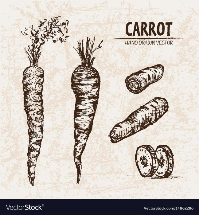 Морковь Графика