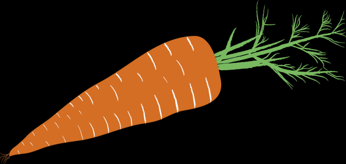 Морковь для детей на прозрачном фоне