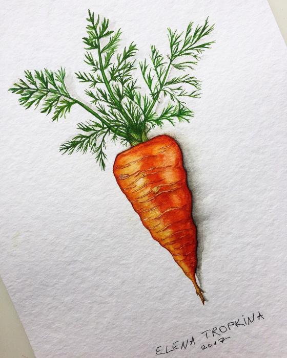 Морковь акварелью