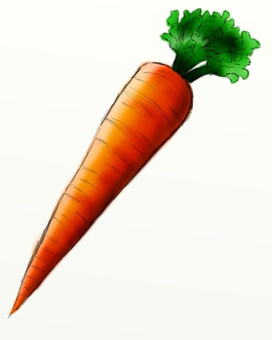 Морковка рисунок