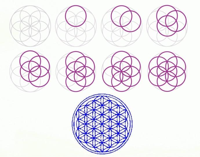 Сакральная геометрия золотое сечение Фибоначчи