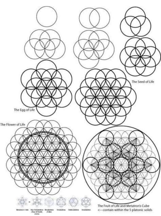 Цветок жизни плод жизни семя жизни Сакральная геометрия