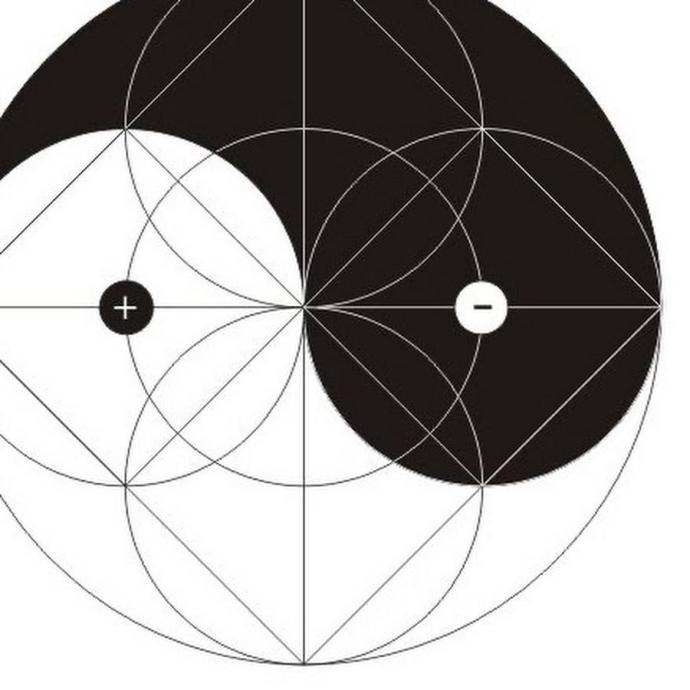 Цветок жизни Инь Янь