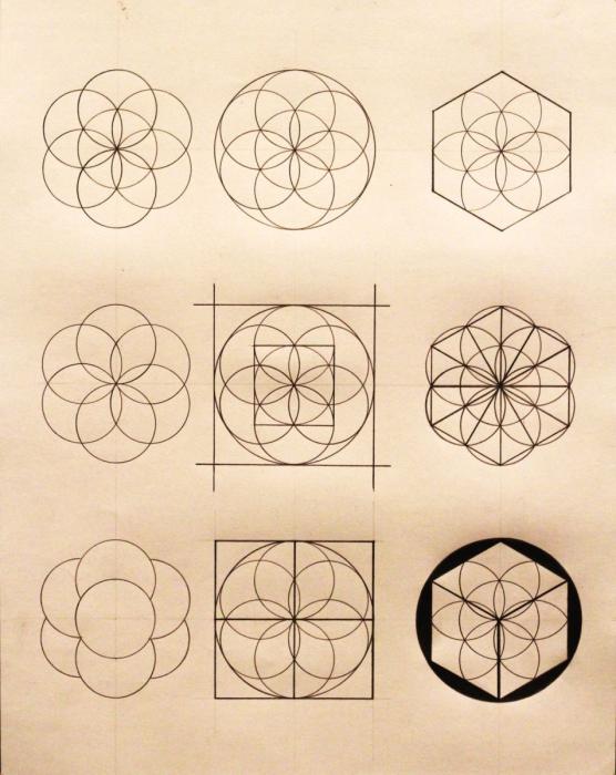 Цветок жизни циркулем