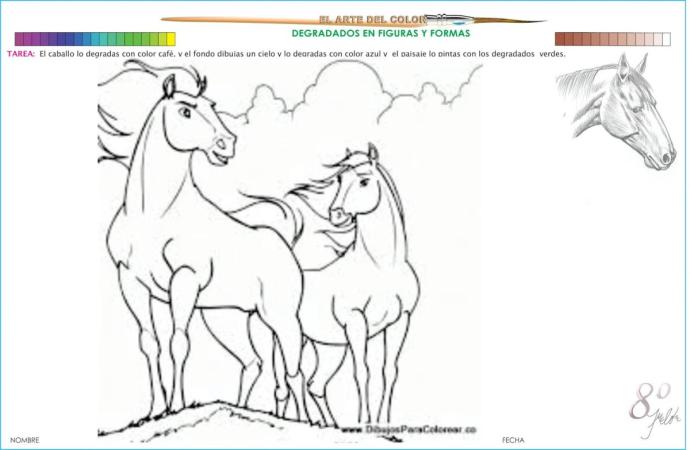 Спирид непокорный с лаки раскраска