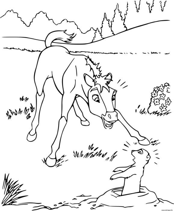 Раскраски спирит душа прерий 2