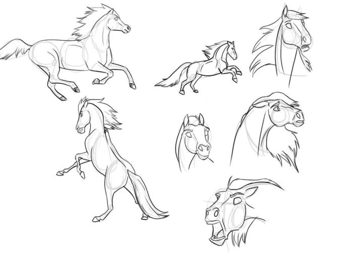 Спирит мультфильм раскраска