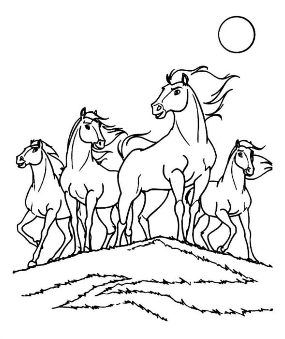 Раскраска спирит душа прерий