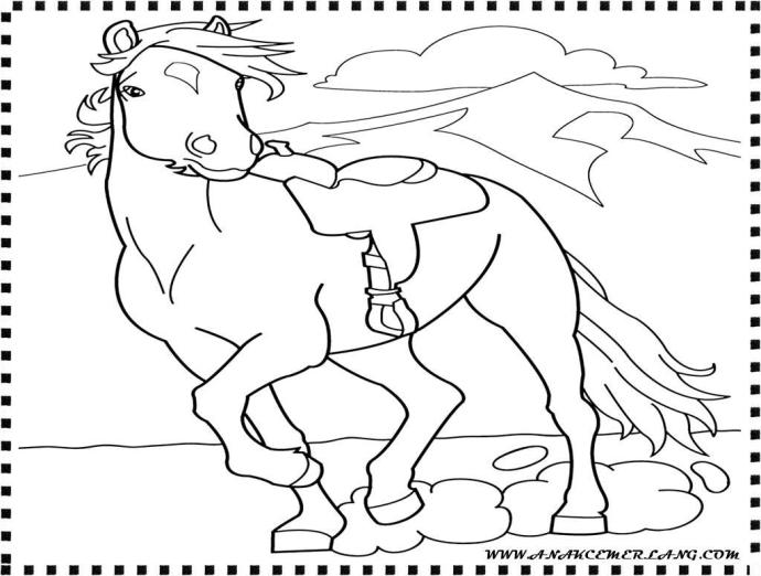 Ранчо хорсленд Альма