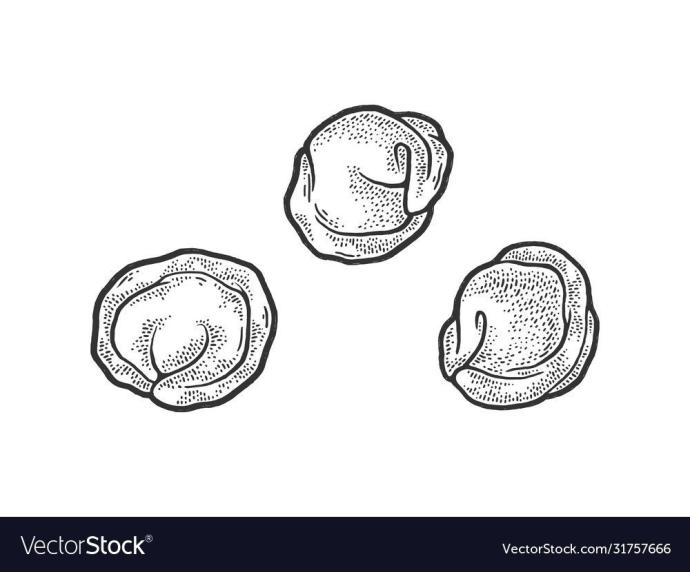 Пельмени вектор